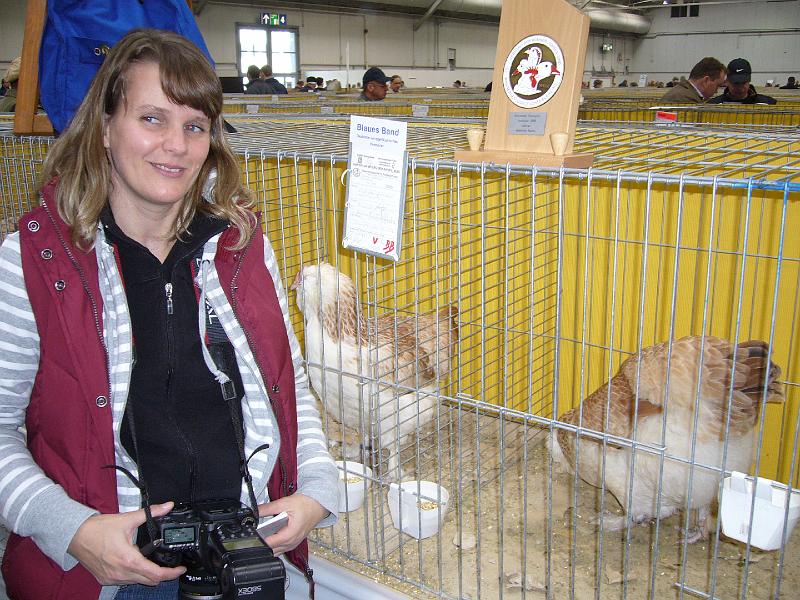 Hannover 2008 300.jpg - Deutsche Lachshühner lachsfarbig von  Frau Marfeld Preis V97 BB